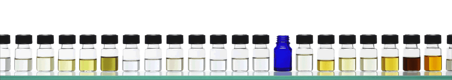 The Society of scent